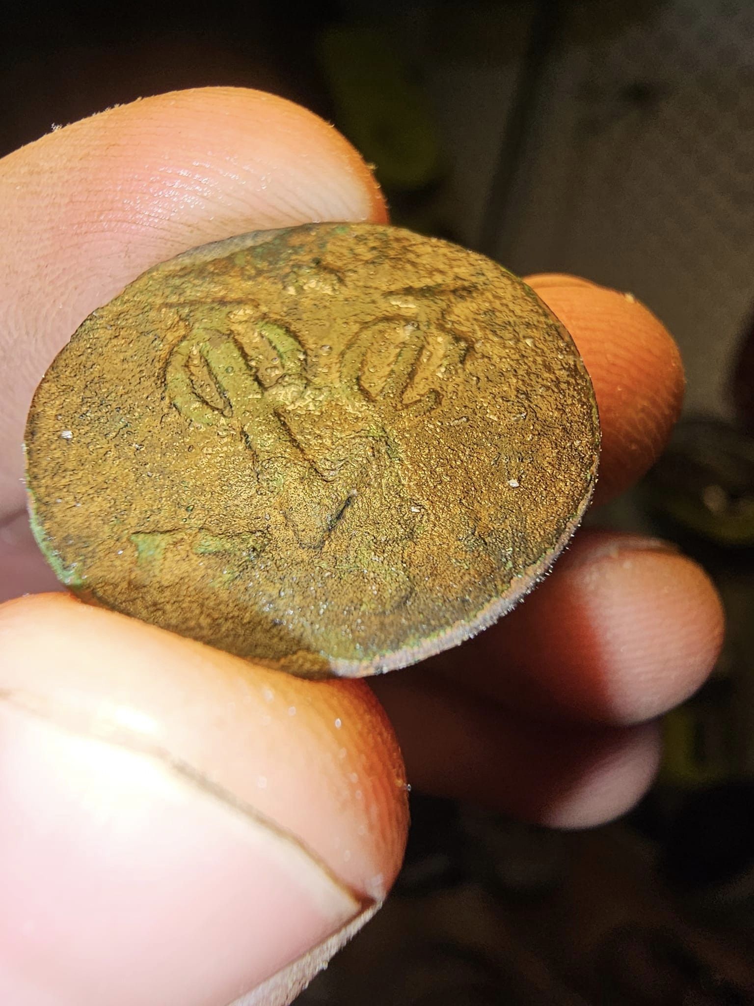 Der Metalldetektor Mick Crawford entdeckt in Tasmanien eine Münze von Niederländisch-Ostindien aus dem Jahr 1754