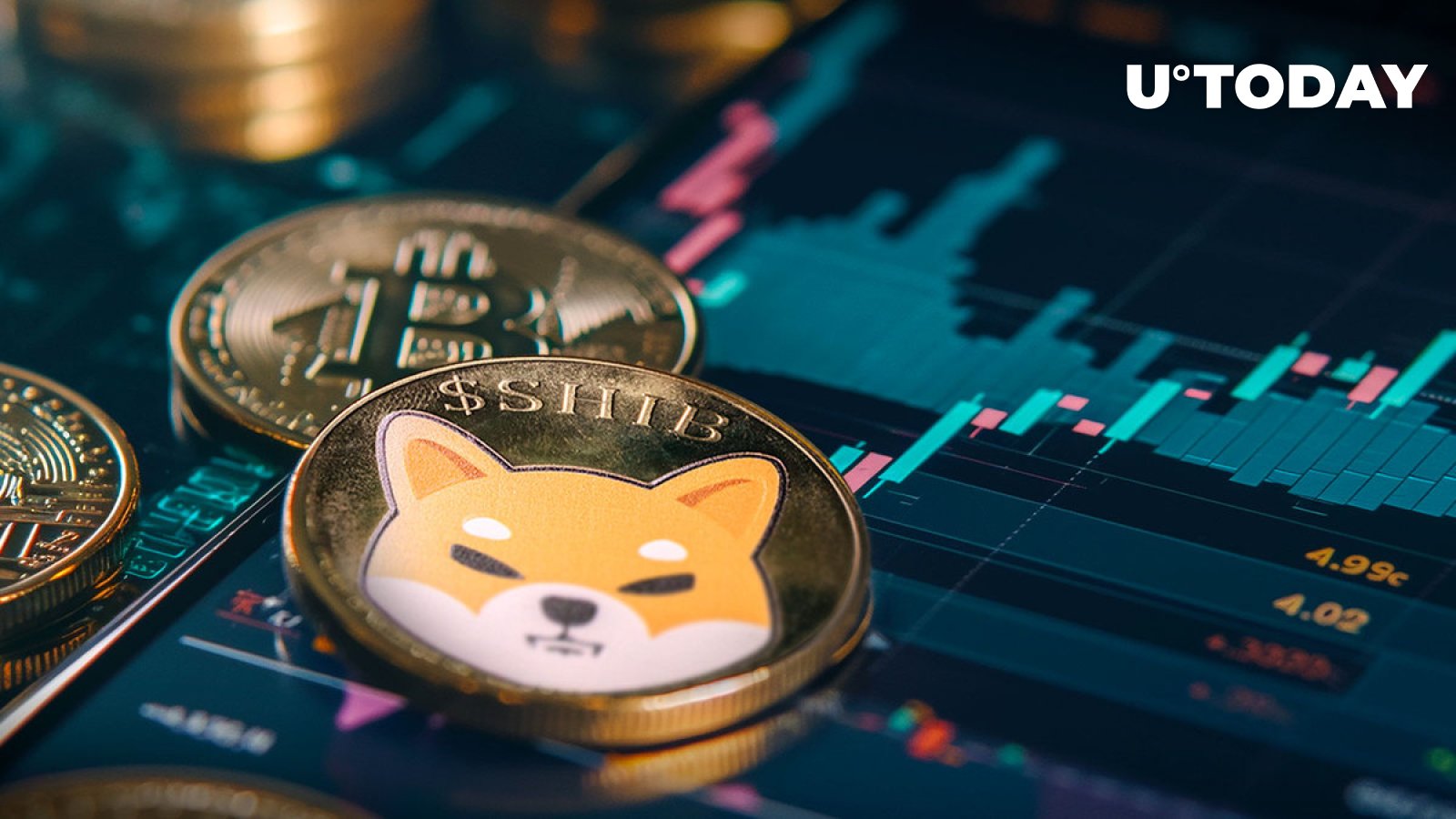 Lucie From Shiba Inu Team Member Raises Question: Is the Next Bull Run Just Months Away?