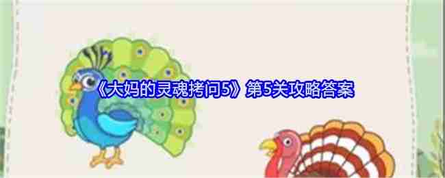 「Aunties Soul Torture 5」レベル5ウォークスルーの答え