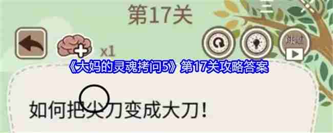 아줌마의 영혼 고문 5 레벨 17 연습 답변