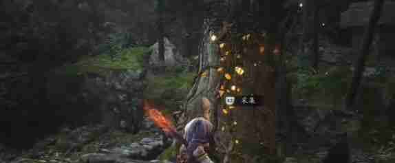 „Black Myth: Wukong  So erhalten Sie Luojiaxiangteng