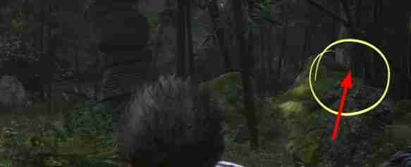 „Black Myth: Wukong  So erhalten Sie Luojiaxiangteng
