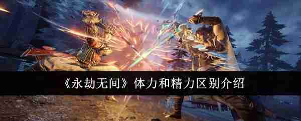 Introduction to the difference between physical strength and energy in Eternal Calamity