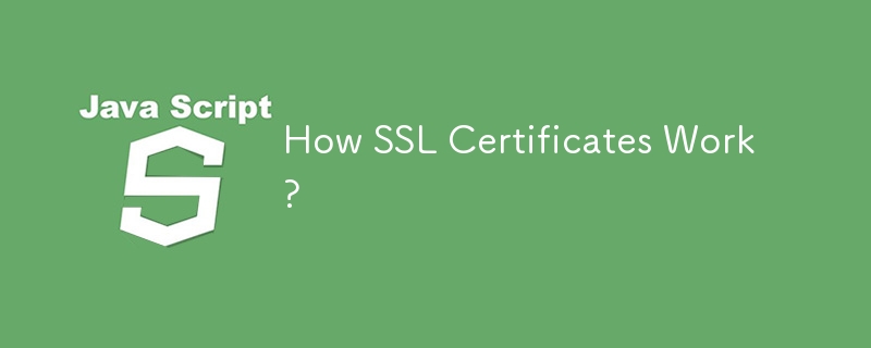 How SSL Certificates Work?