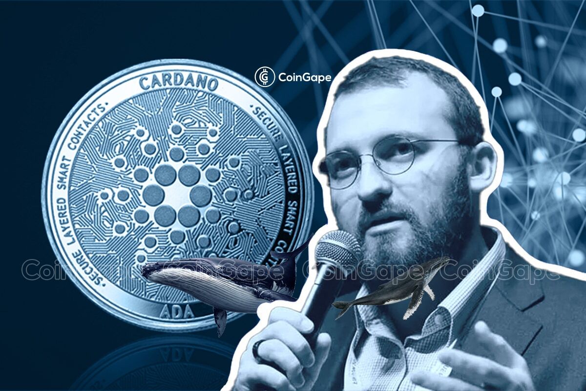 Cardano 執行長 Charles Hoskinson 讚揚 Algorand 區塊鏈技術，提議與去中心化人工智慧 (AI) 專案建立合作夥伴關係