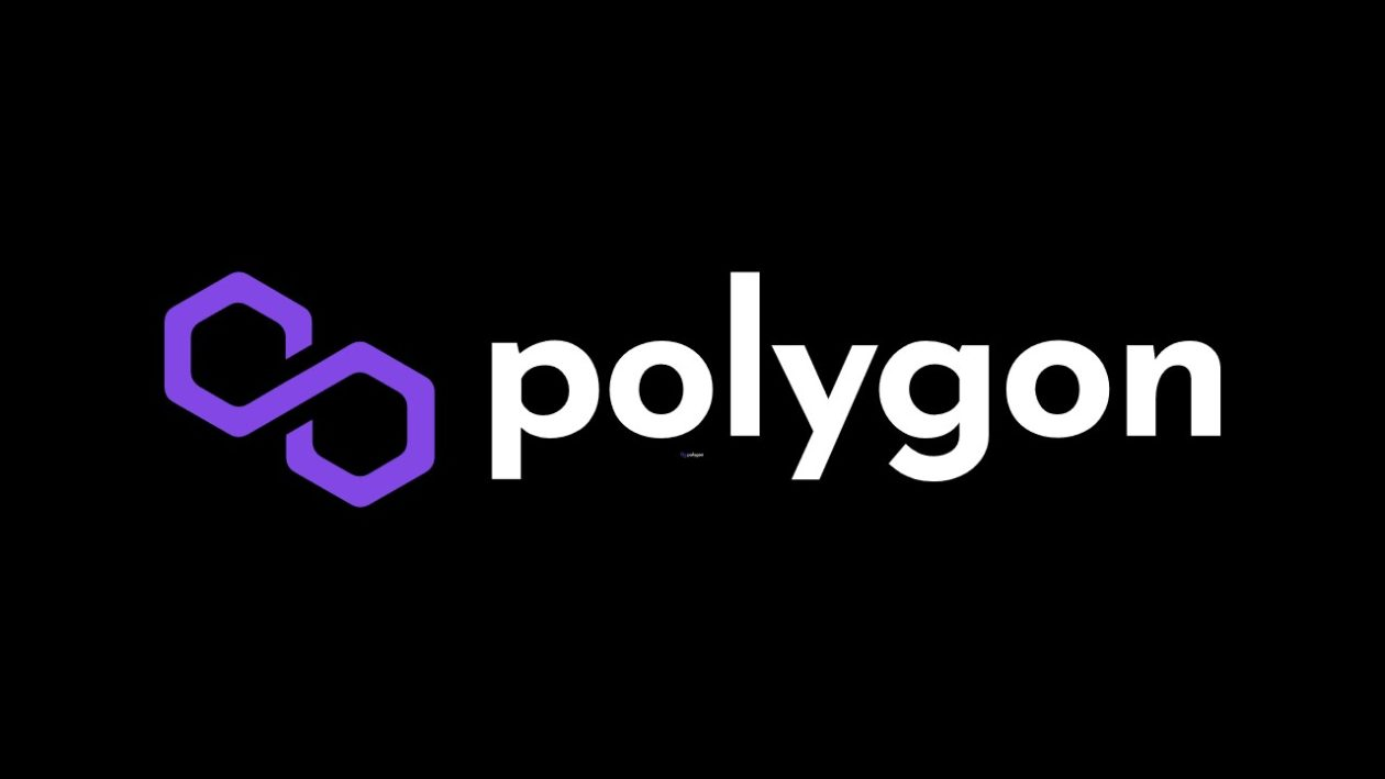Ethereum 고래가 Polygon(MATIC) 및 RCO Finance(RCOF)에 대한 노출을 늘리는 이유는 무엇입니까? 알아봅시다!