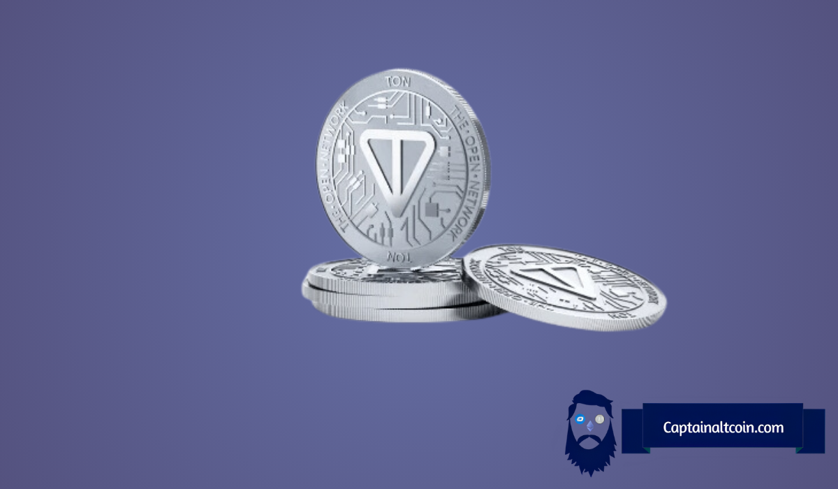 Die Preise für Toncoin (TON) und Notcoin (NOT) stürzen ab