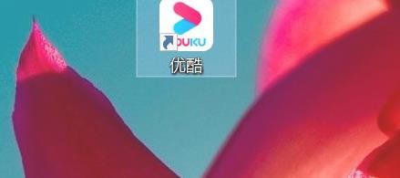 优酷弹幕不显示怎么办 优酷客户端弹幕显示不了解决方法