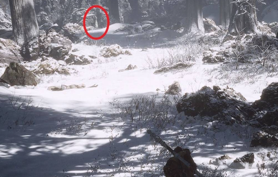 《Black Myth: Wukong 》How to obtain the essence of Master Falcon