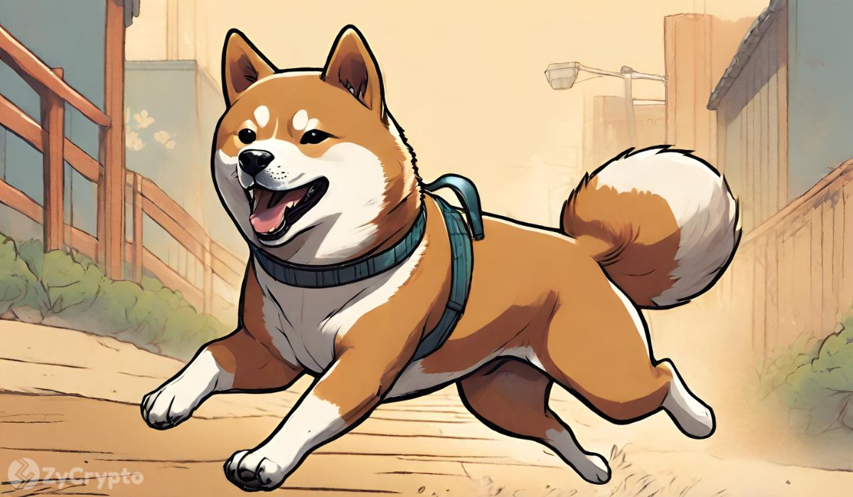 Shiba Inu 개발자는 '러그 풀(Rug Pull)' 사기가 만연하는 가운데 사용자를 보호하기 위한 프로젝트의 약속을 강조합니다.