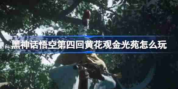 Black Myth: Wukong  Chapter 4 How to play Huanghuaguan Jinguangyuan