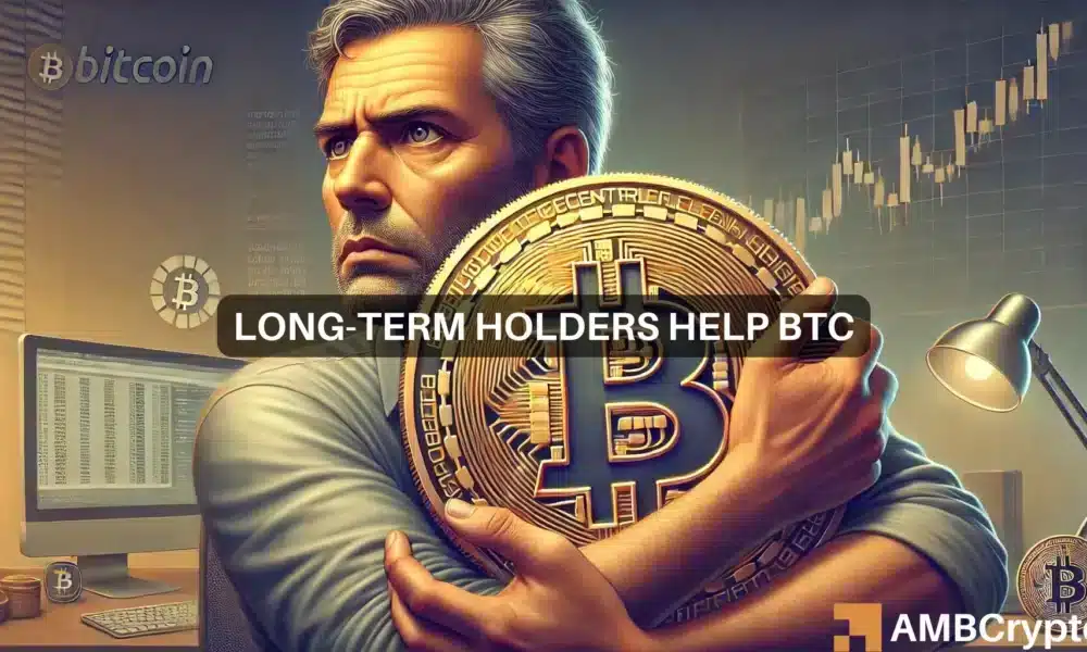 Les détenteurs de Bitcoin à long terme achètent la baisse alors que leur offre augmente de 262 000 BTC