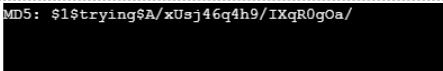 PHP crypt()