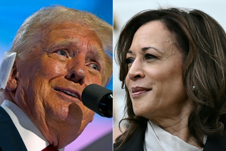 Political-Themed Cryptocurrency Tokens Pump as US Presidential Campaigns Heat Up