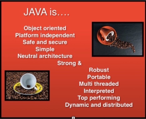 Java 프로그래밍 언어 기능
