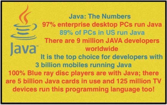 Java 프로그래밍 언어 기능