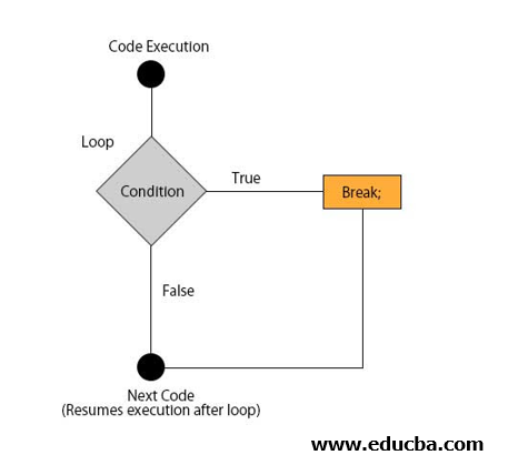 Break Statement in Java-javaTutorial-php.cn