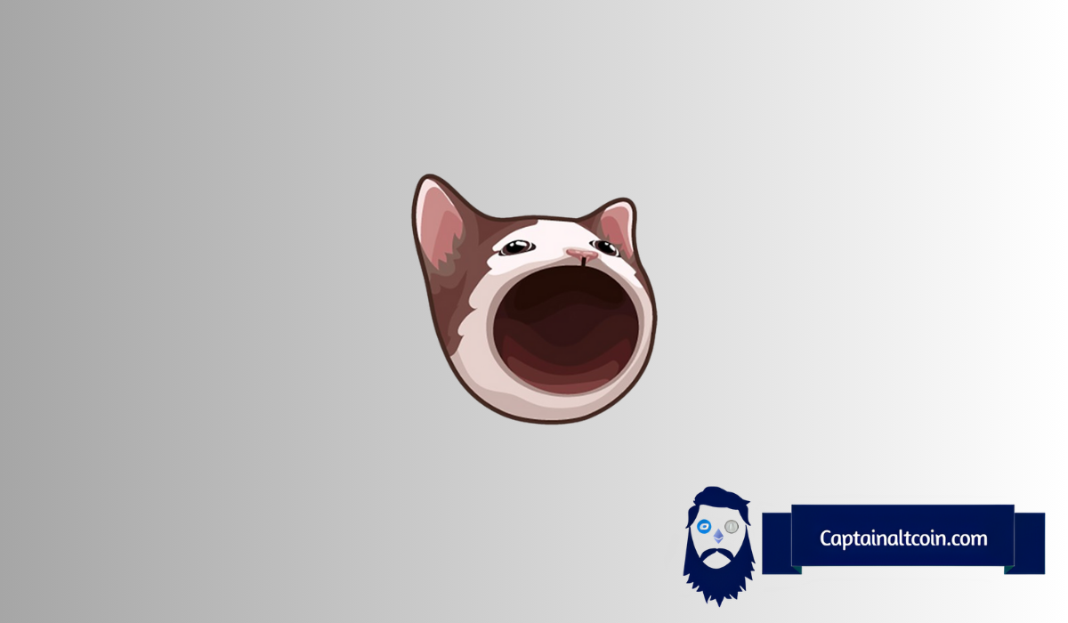 Crash des prix des pièces Meme – FLOKI, DOGS et POPCAT plongent