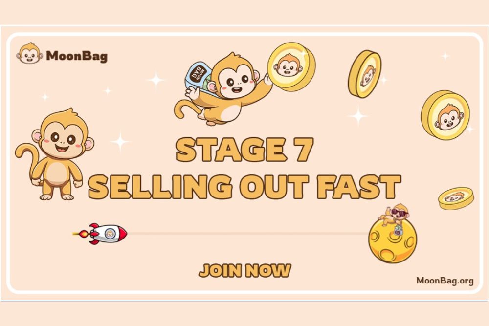 WOMIO vs. MemeLife vs. MoonBag: A Comparison of the Hottest Meme Coins Under <img src=