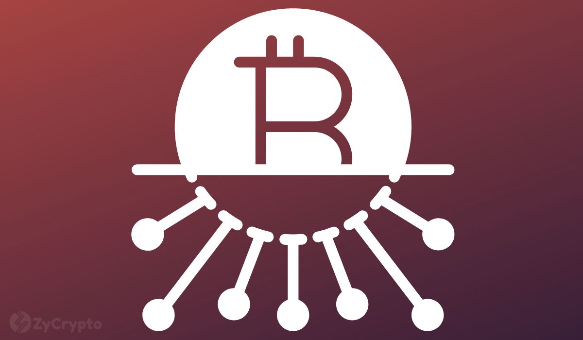 Bitcoin Experiment A Mixed Bag, Bukele Opines