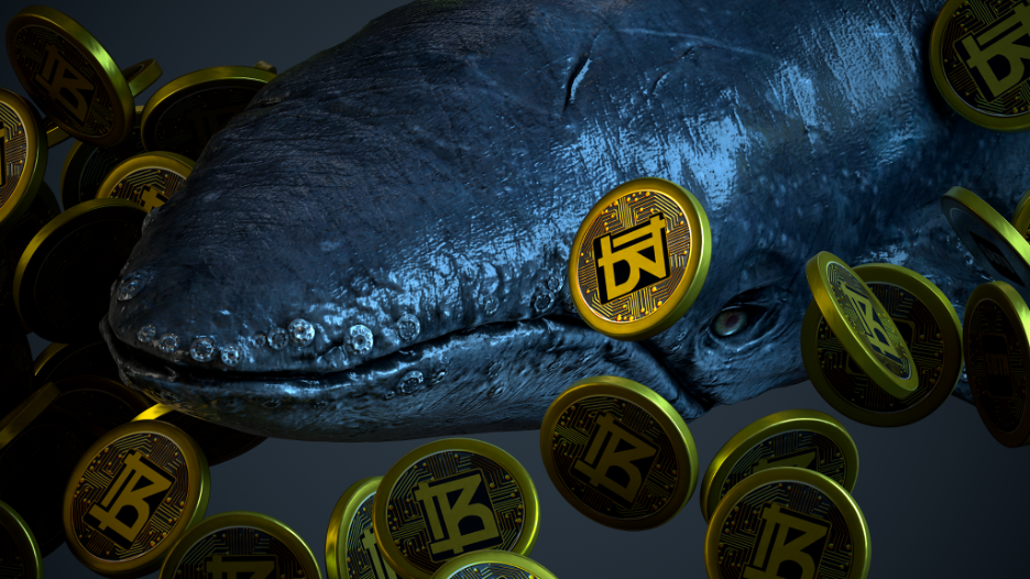 Bitnance (BTN) Token Presale Nears Sellout, Whales Drive 2000% Increase in Buyer Activity