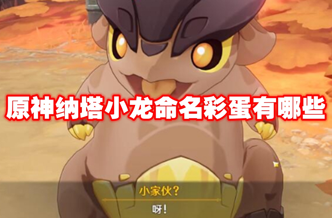 原神纳塔小龙命名彩蛋有哪些 原神纳塔小龙命名彩蛋一览