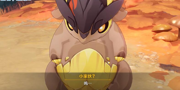 原神纳塔小龙命名彩蛋有哪些 原神纳塔小龙命名彩蛋一览