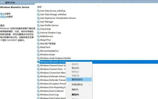 win11面部识别找不到windows hello人脸摄像头怎么办