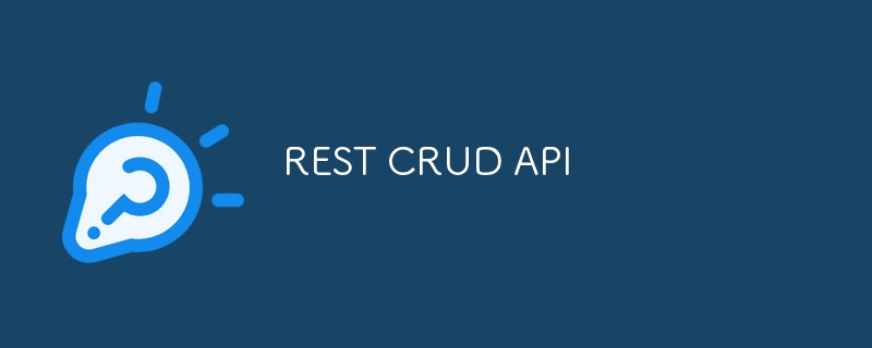 REST CRUD API