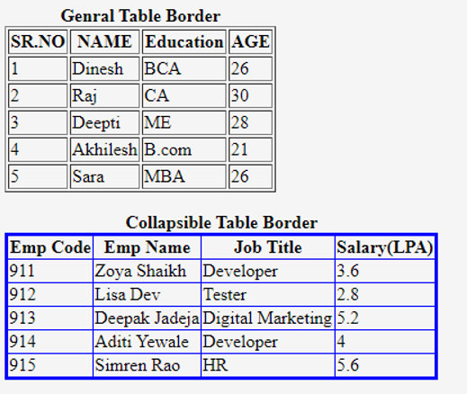 Table Border in HTML