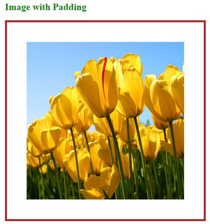 HTML Image Padding