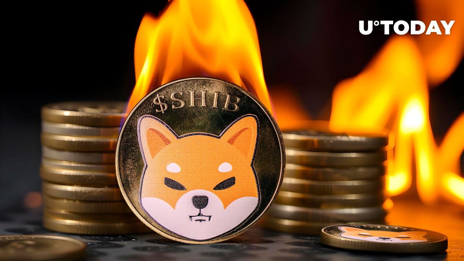 Le taux de combustion du Shiba Inu (SHIB) augmente de 404 % pour déclencher une inversion de tendance