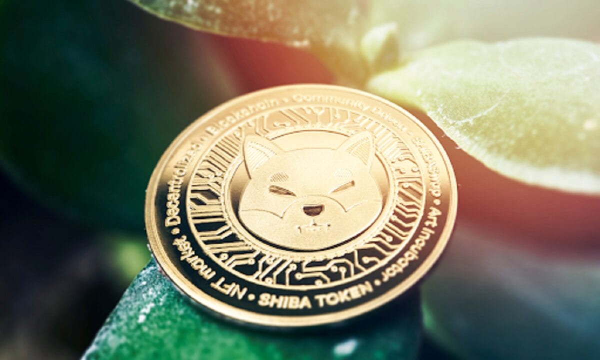 Memecoins：加密貨幣領域的最新熱潮