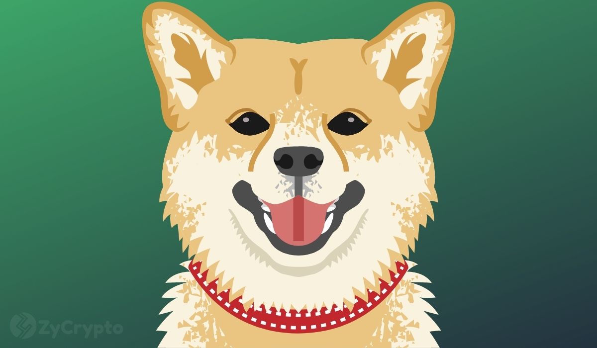 Elon Musk Indirectly References Dogecoin (DOGE) in New Tweet, Sparks Renewed Optimism