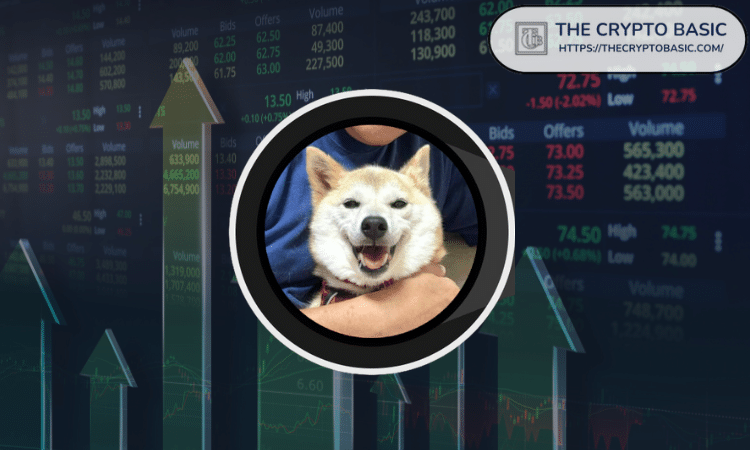 Neiro (NEIRO) Quickly Rises to Prominence, Now Ranking Among the Top 25 Meme Coins by Market Capitalization on the Ethereum Blockchain