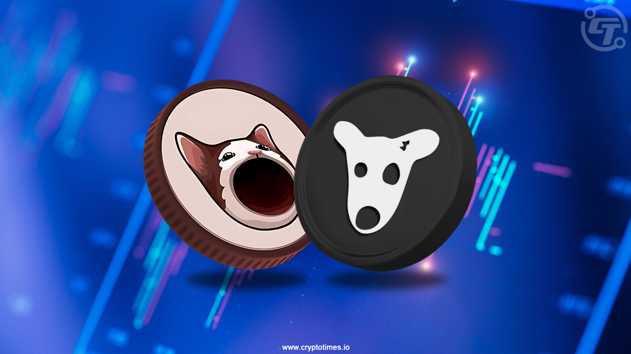 Meme Tokens Popcat (POPCAT) and Dogs (DOGS) Are Leading the Pack Among the Top 100 Cryptocurrencies by Market Cap