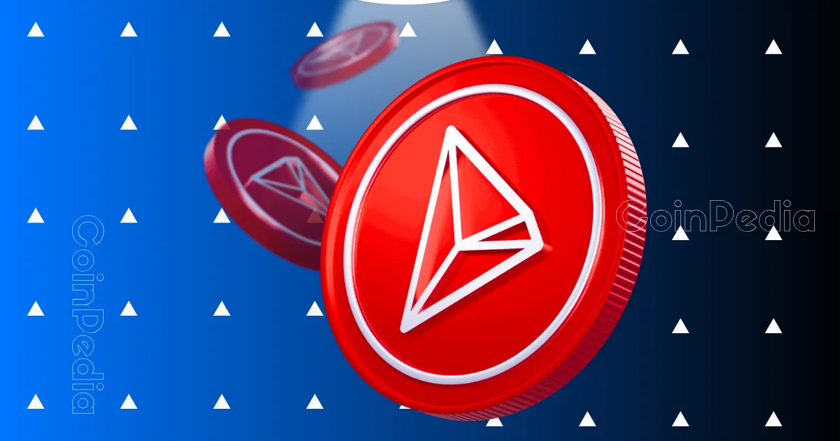 TRON August 2024 Monthly Report - Positive Growth Is Recorded across TRON's Monthly Fees, Revenue, and Earnings