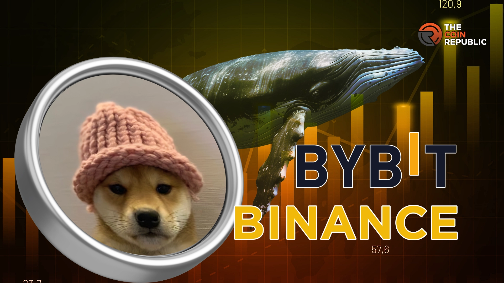 Dogwifhat (WIF) Meme Coin Gains Attention Following Whale Accumulations