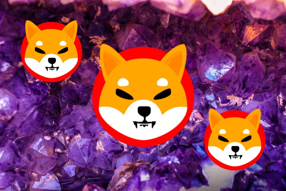 Pelabur terkenal Jake Gagain Mengekalkan Tinjauan Positif tentang Shiba Inu (SHIB)