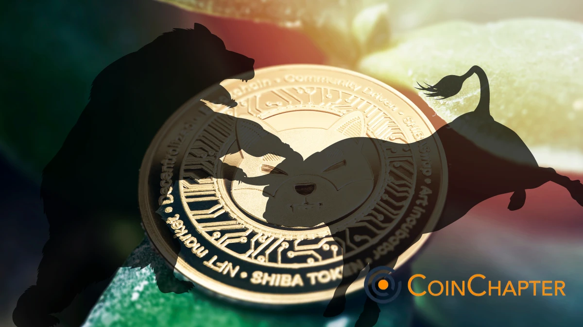 Shiba Inu (SHIB) Coin Market Stagnant as Social Media Interest Declines