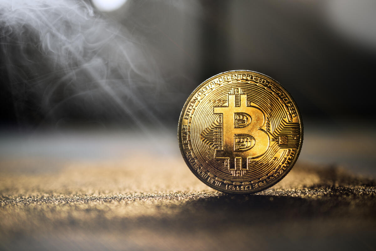 BlackRock Labels BTC a Unique Diversifier