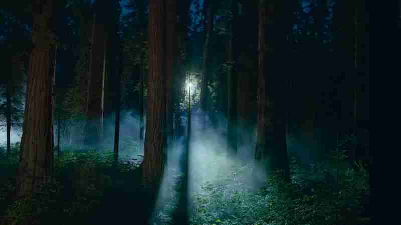 50 New macOS Sequoia Features and Changes Worth Checking Out