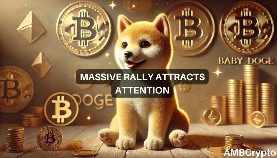 Baby Doge Coin Breaks September Highs, Rally Continues Despite Bitcoin [BTC] Struggles