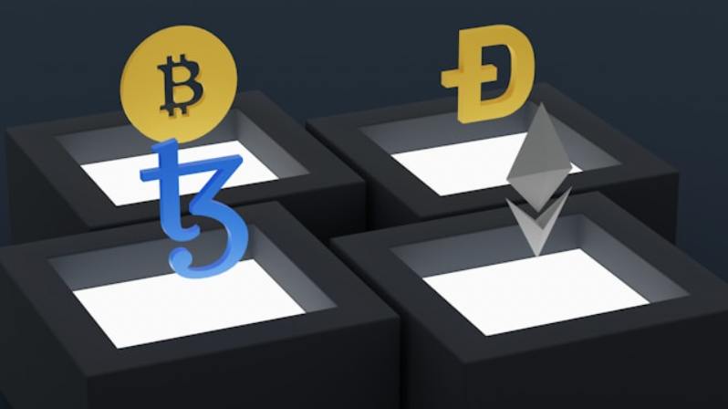 Whole Crypto Purchase vs Fractional Crypto Purchase: Which Is the Best Approach?