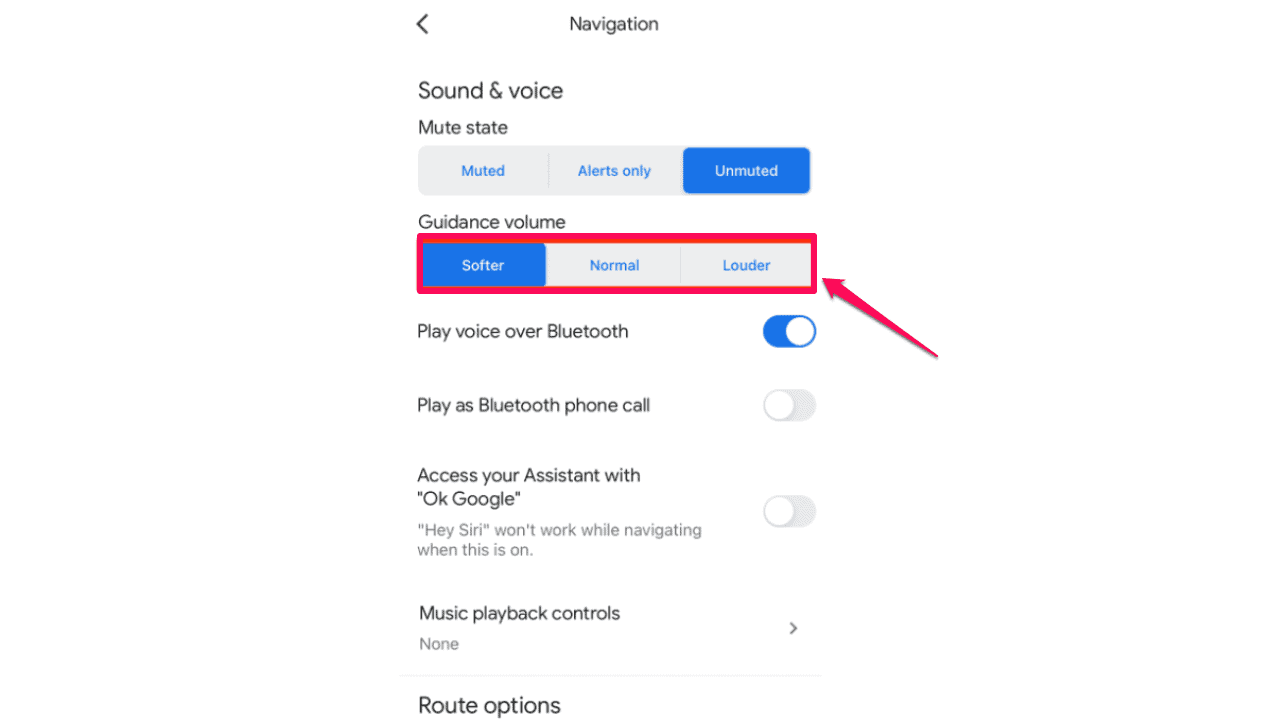google-maps-volume-too-low-on-iphone-how-to-fix-it-windows-series-php-cn