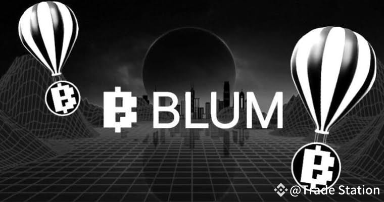 BLUM Token's Price Unveiled! | Major Airdrop Alert Incoming!