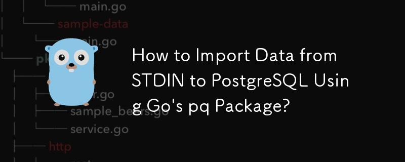 How to Import Data from STDIN to PostgreSQL Using Go's pq Package?