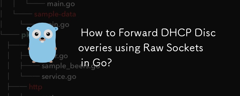  How to Forward DHCP Discoveries using Raw Sockets in Go? 
