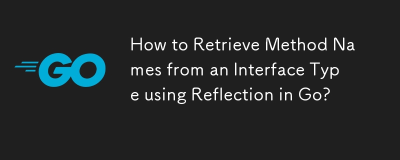 How to Retrieve Method Names from an Interface Type using Reflection in Go? 
