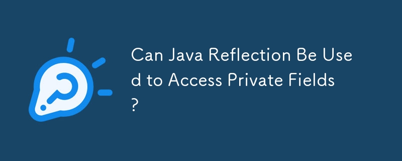 Can Java Reflection Be Used to Access Private Fields? 
